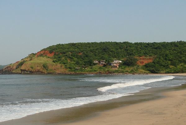 Image 2