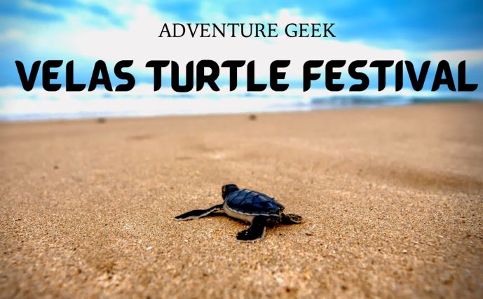 Popular Destination In Travel-Dhamaka | RATNAGIRI